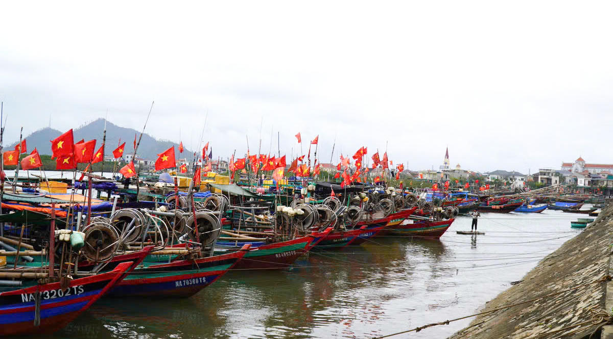 Tàu thuyền của ngư dân neo đậu tại cảng cá, chủ động sắp xếp chuyến biển để kịp tham gia ngày bầu cử.
