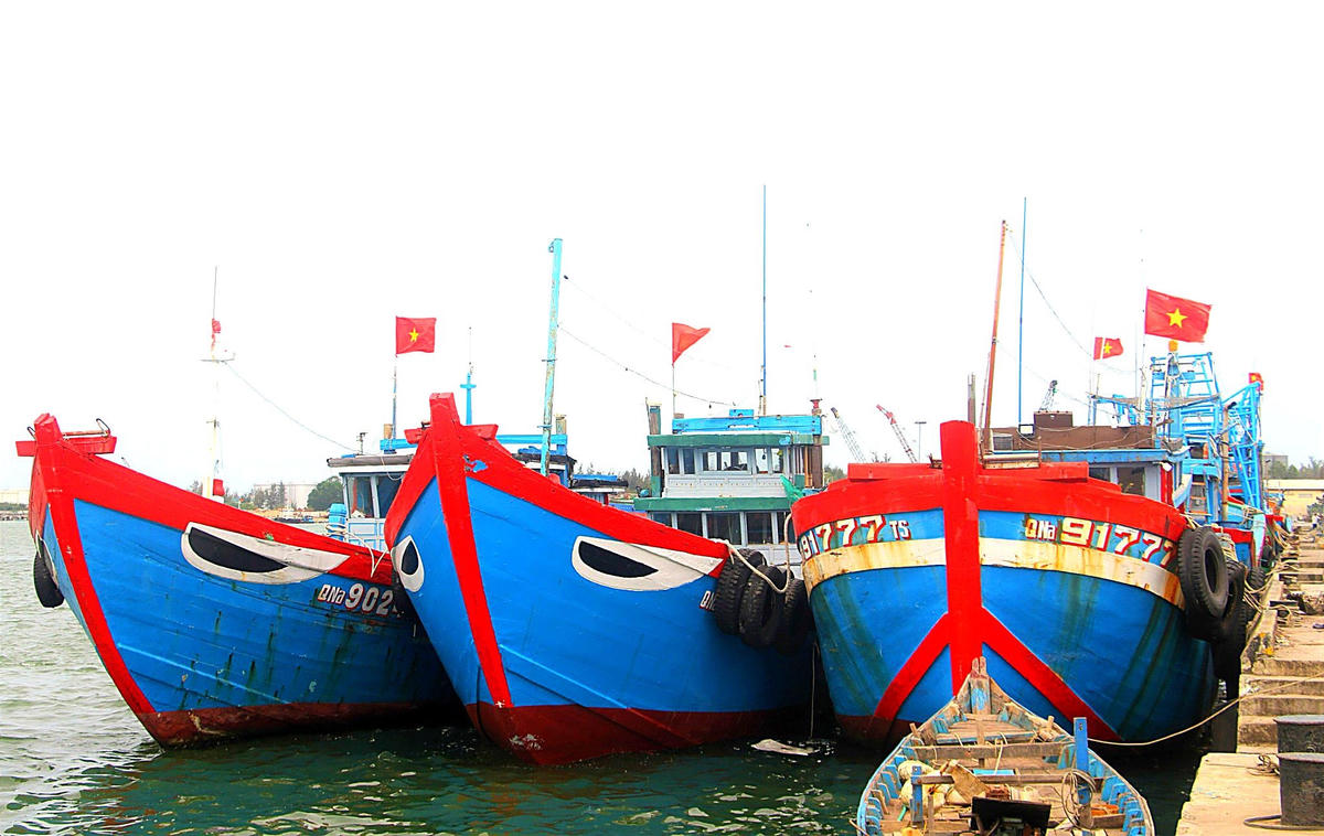 Tàu thuyền của ngư dân cập cảng Tam Quang sáng ngày 14/3. Ảnh: Tấn Thành.