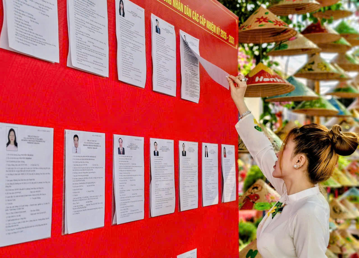 Cử tri xem thông tin của các ứng cử viên trước khi thực hiện quyền và nghĩa vụ bầu cử. Ảnh; S.X