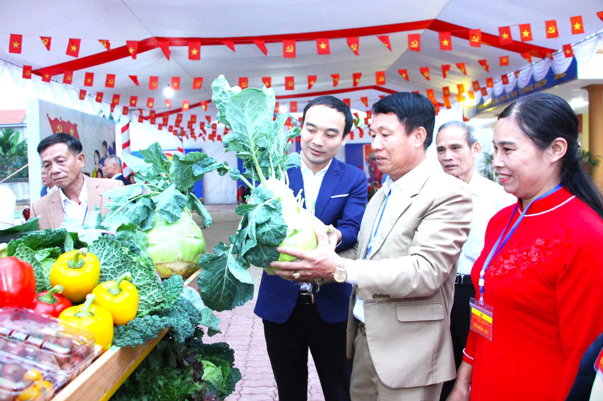 Cùng với ngày hội bầu cử, ngay tại trung tâm xã còn diễn ra Lễ hội nông sản, trưng bày và bày bán các sản vật địa phương.