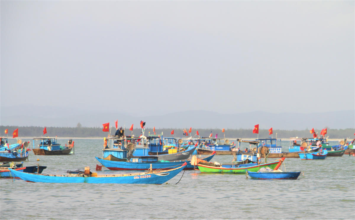 Một làng chài thôn Thuận An nhiều tàu thuyền đậu tại bến. Ảnh: Chí Đại.