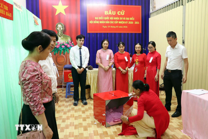 Các thành viên Tổ bầu cử số 27, phường Tam Thắng, Thành phố Hồ Chí Minh tiến hành kiểm phiếu. (Ảnh: Thanh Vũ/TTXVN).