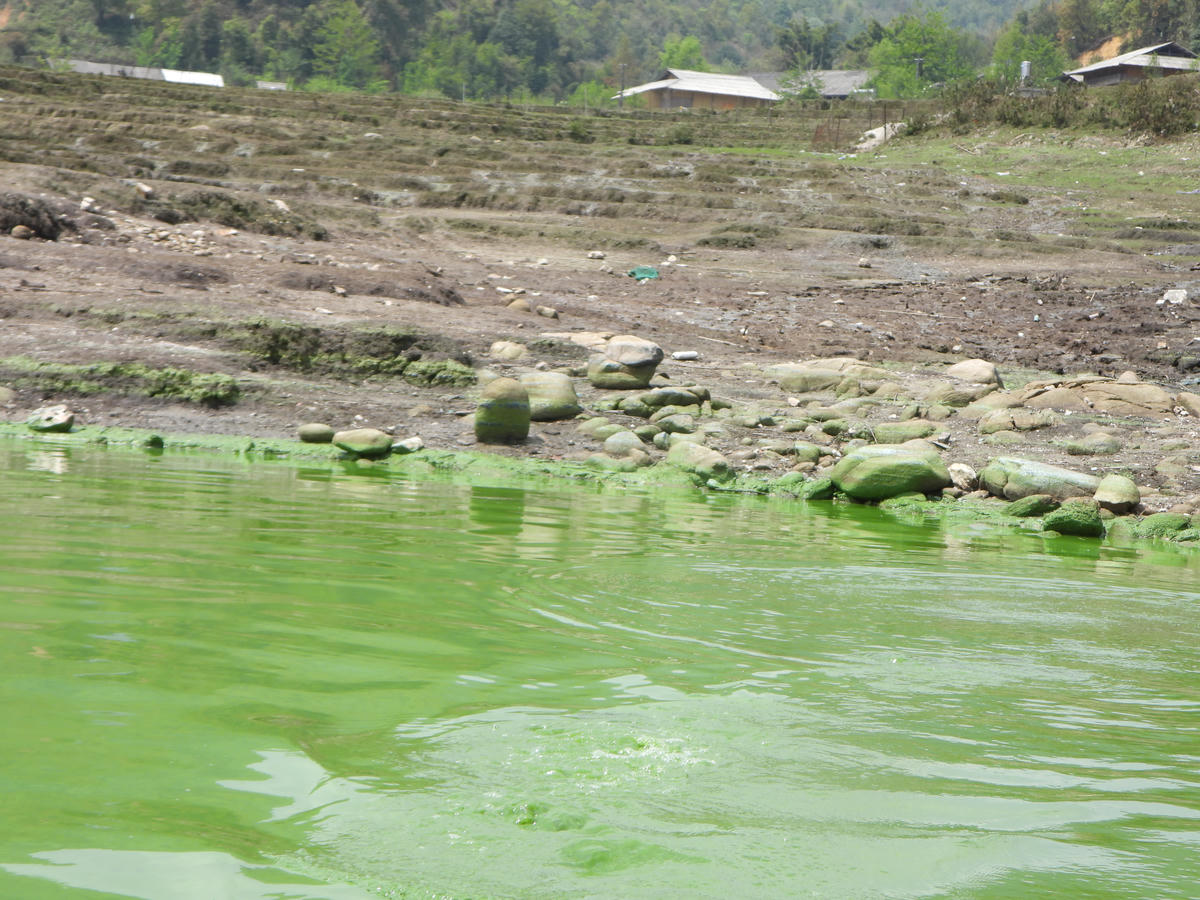 Bao giờ Séo Mý Tỷ mới lại là 'Viên ngọc xanh' giữa đại ngàn Tây Bắc?