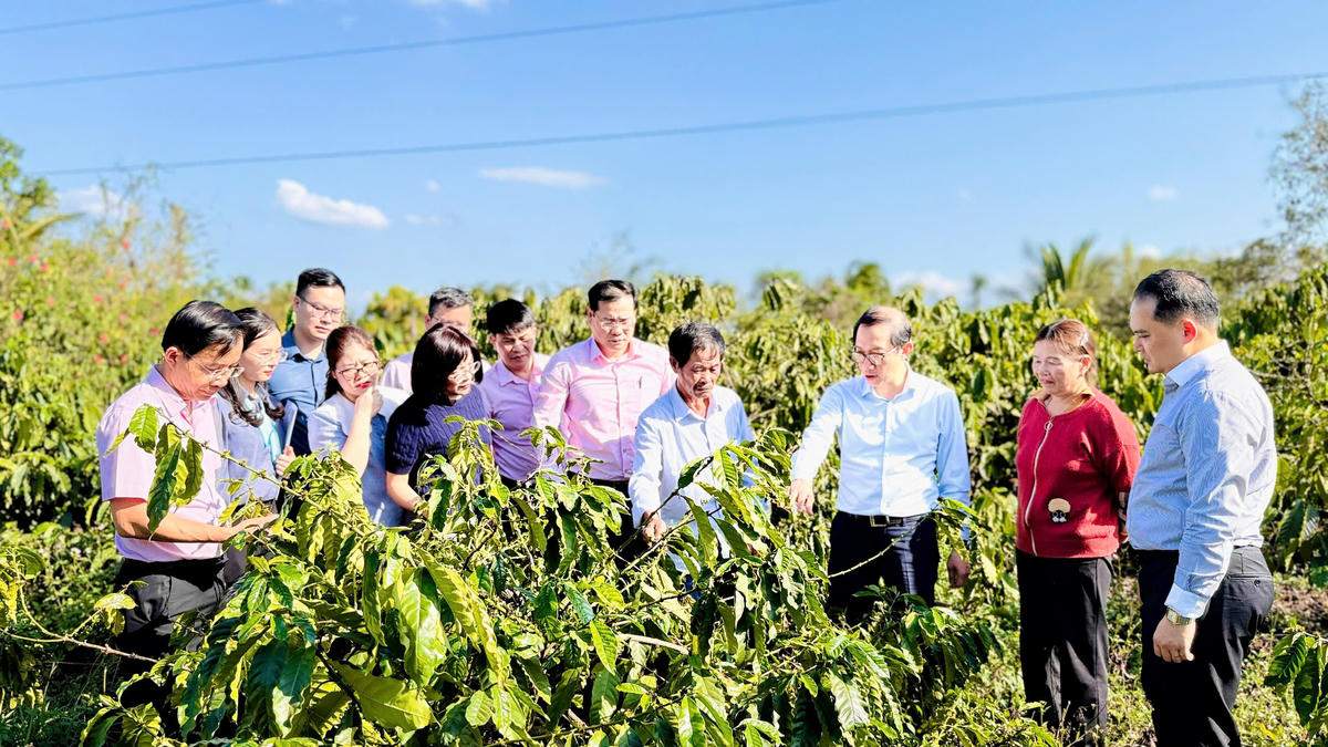 Đoàn công tác các bộ, ngành Trung ương thăm mô hình sử dụng vốn vay tín dụng chính sách tại xã Ea Phê.