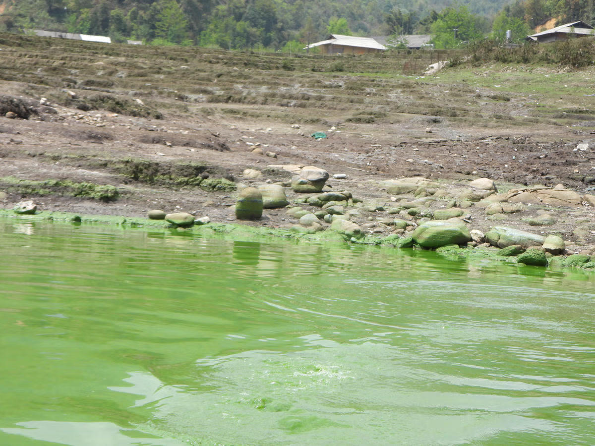 Theo ông Qúy, trước việc lồng bè hoạt động không phép, gây ô nhiễm nghiêm trọng, ảnh hưởng đến đời sống, cũng như kinh tế người dân. Chính quyền xã Tả Van xác định kiên quyết xử lý nghiêm những đối tượng chống đối. Ảnh: Đức Sơn.