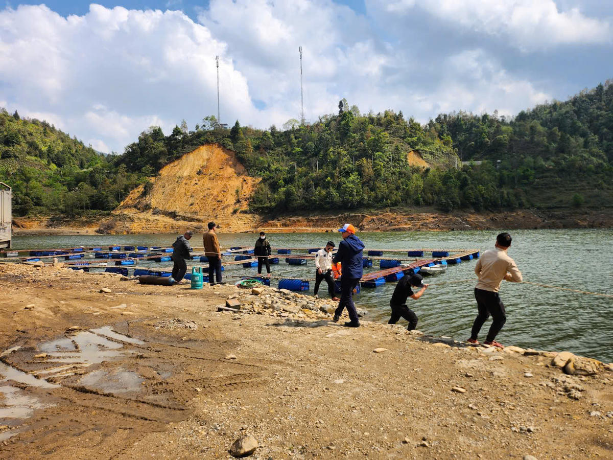 Đến chiều cùng ngày, 8 lồng bè đã được tháo dỡ và chuyển lên bờ xong. Ảnh: Qúy Hùng.