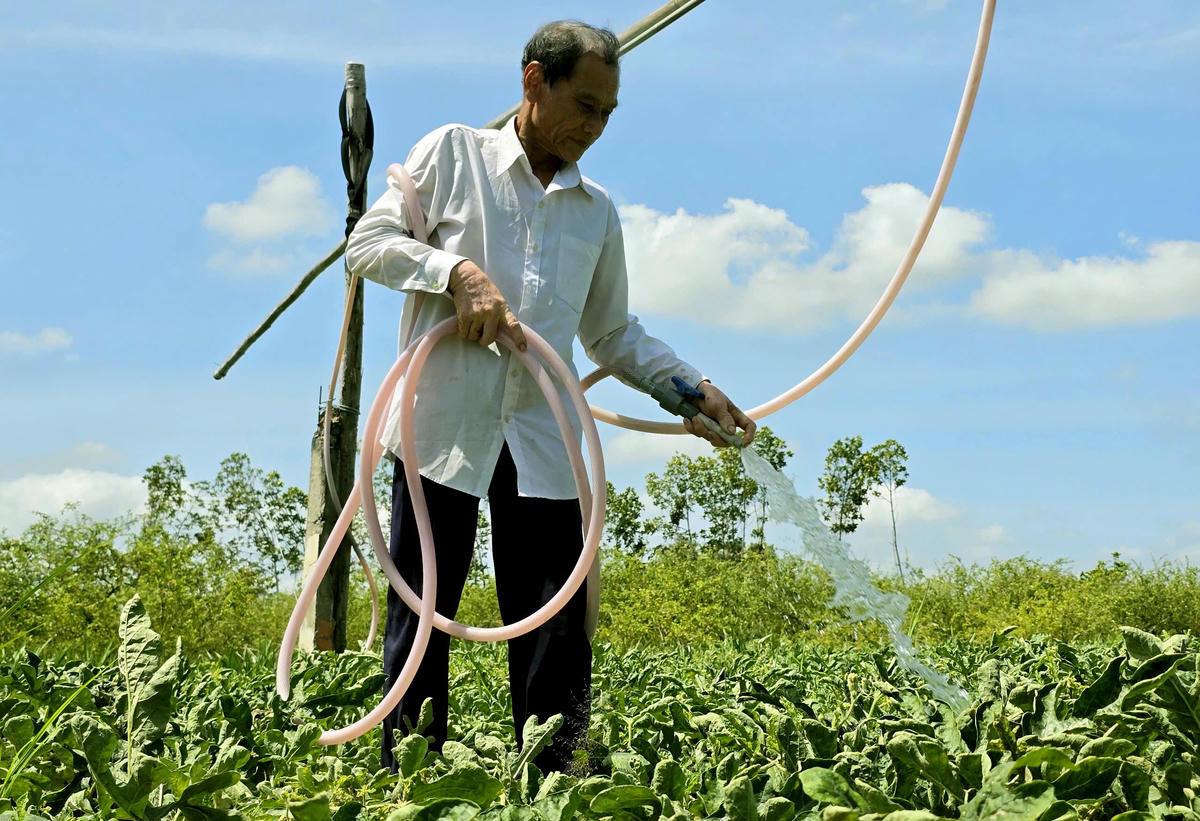 Người dân xã Tân Phú Đông, tỉnh Đồng Tháp (huyện Tân Phú Đông, tỉnh Tiền Giang cũ) sử dụng nguồn nước ngầm tưới rau màu. Ảnh. BTP&nbsp;