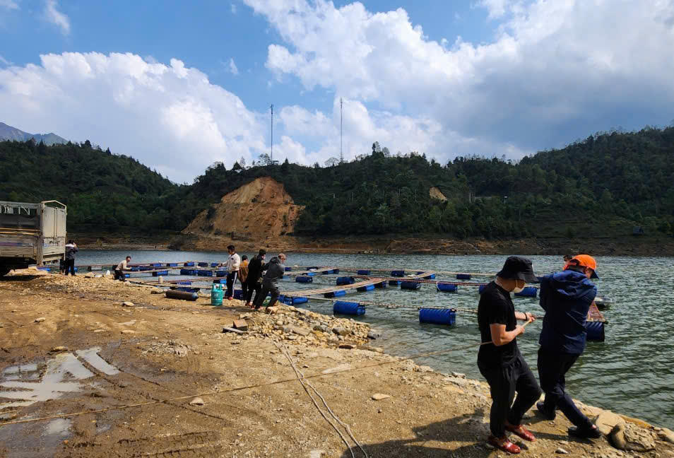 Chiều 22/3, trao đổi với phóng viên Báo Đại đoàn kết, ông Cao Bá Qúy, Chủ tịch UBND xã Tả Van cho biết, cùng ngày, Công ty cổ phần Cá tầm - Cá hồi Sa Pa đã bắt đầu tháo dỡ những lồng bè nuôi cá trên hồ Séo Mý Tỷ. Ảnh: Qúy Hùng.