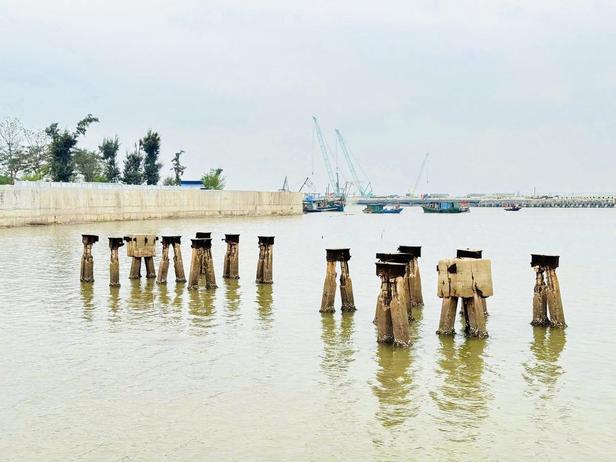 Hạng mục thi công tu bổ bãi cọc, dự kiến hoàn thành 31/3/2026. Ảnh: PT. 