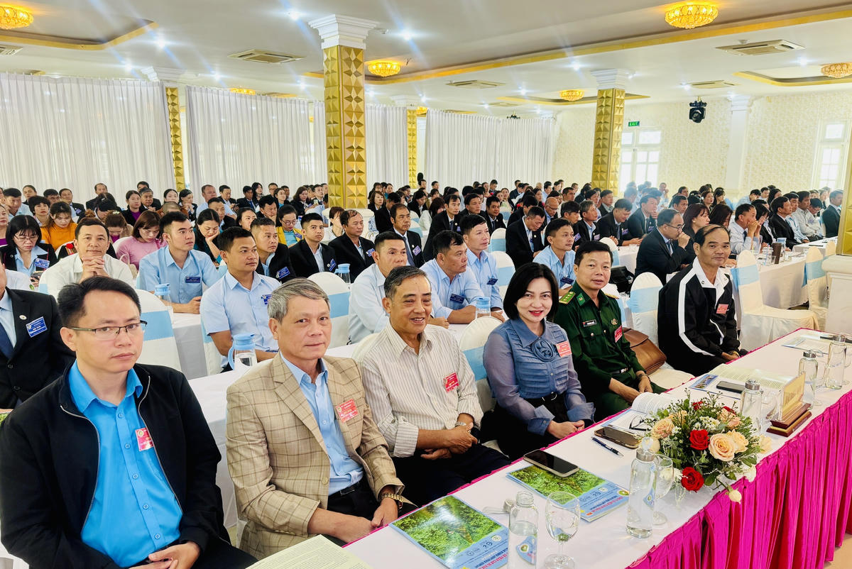 Các đại biểu dự hội nghị.