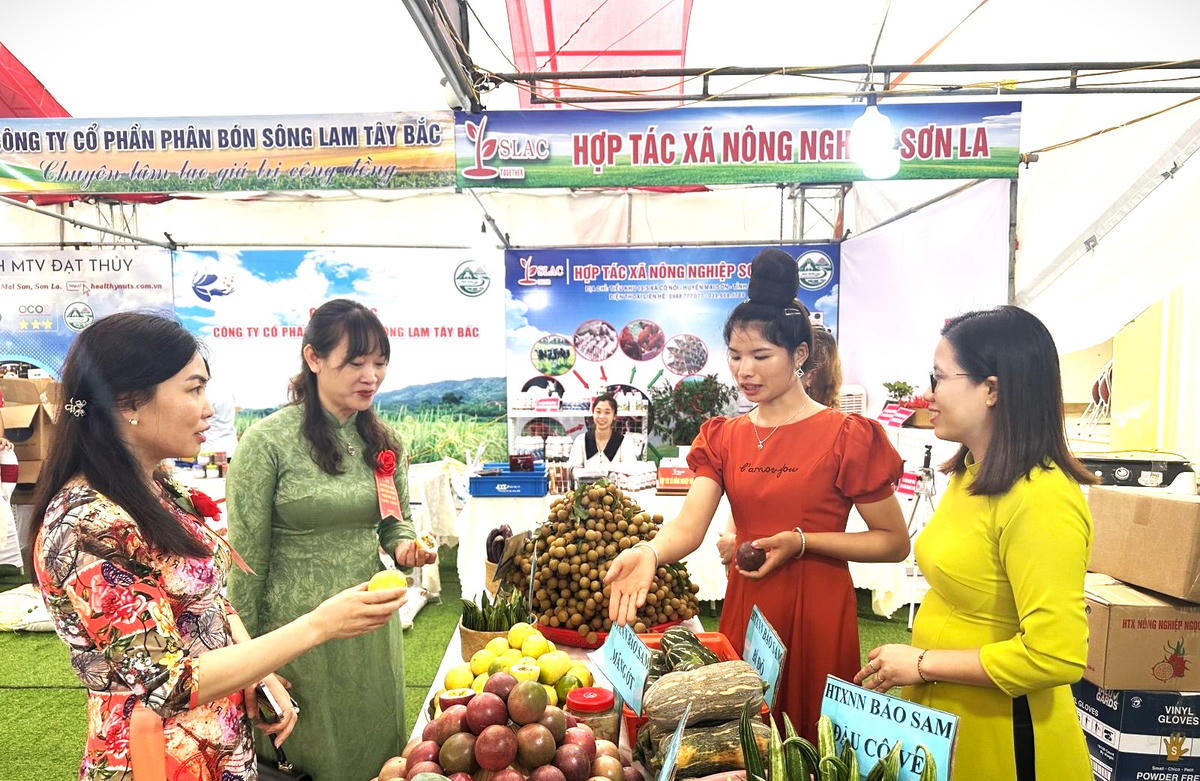 Bộ tiêu chí mỗi xã một sản phẩm OCOP: Nhấn mạnh đánh giá từ cộng đồng