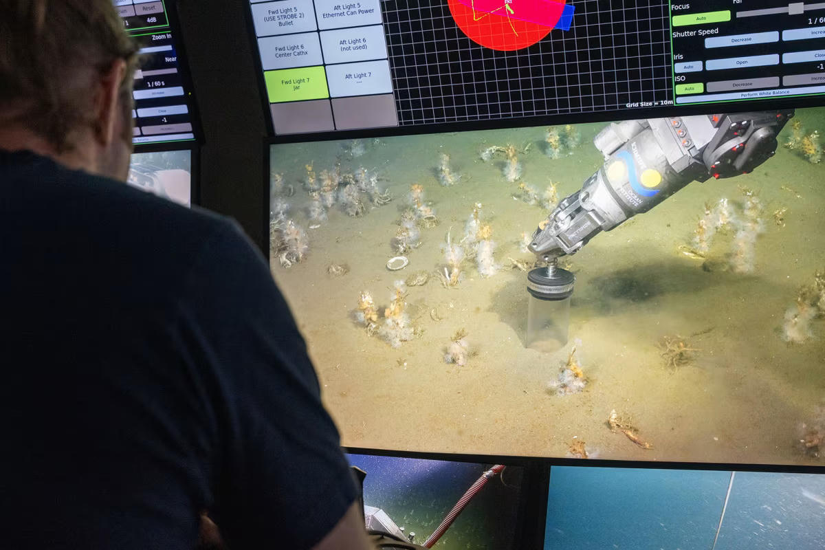 Manh mối mới về nguồn gốc sự sống