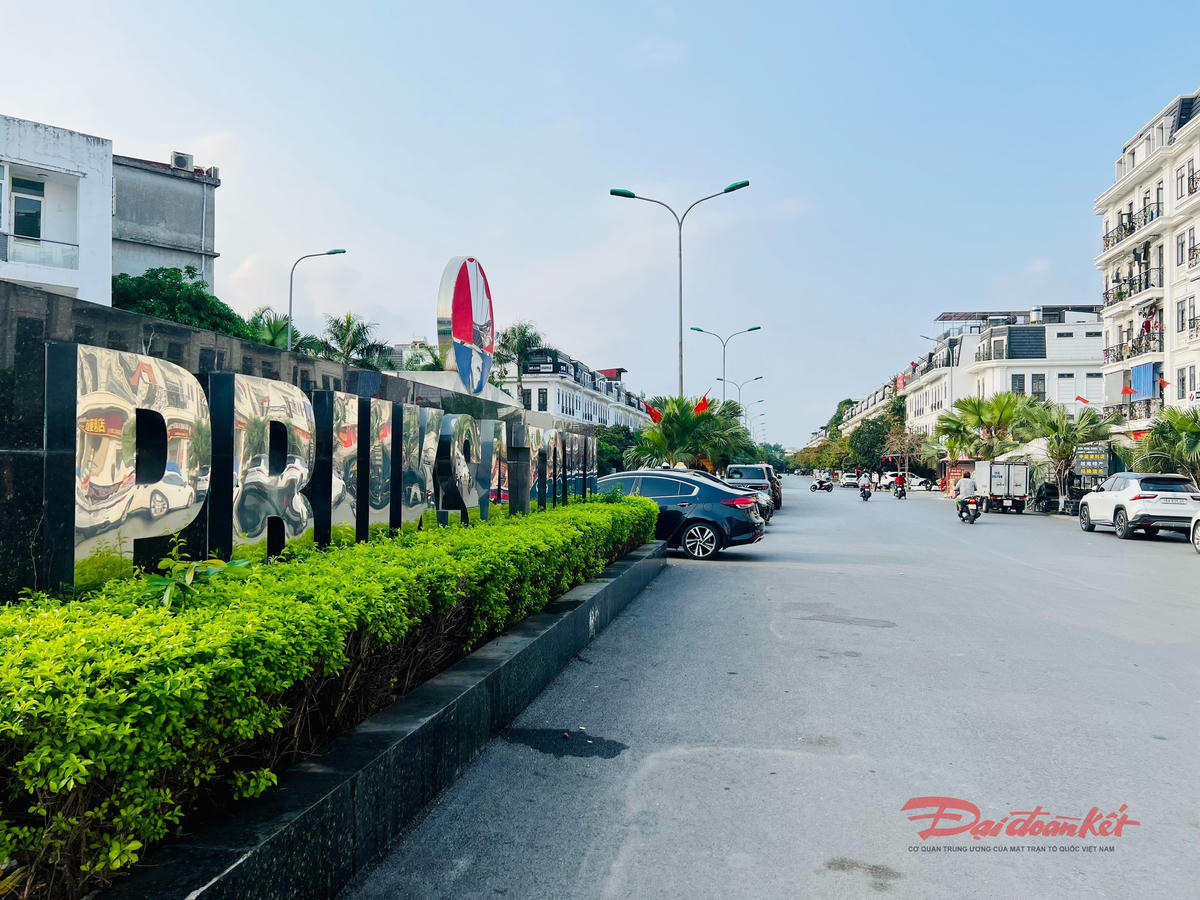 Khu vực triển khai dự án của Công ty TNHH Pruska Việt Nam tại phường An Hải, TP Hải Phòng. Ảnh: PT. 