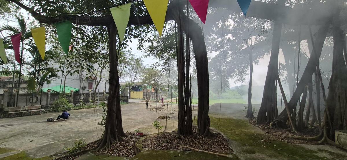 Cành đa già vươn dài, rễ to cả người ôm không xuể, cắm sâu xuống đất tạo thế vững chắc. Ảnh: Xuân Trường.