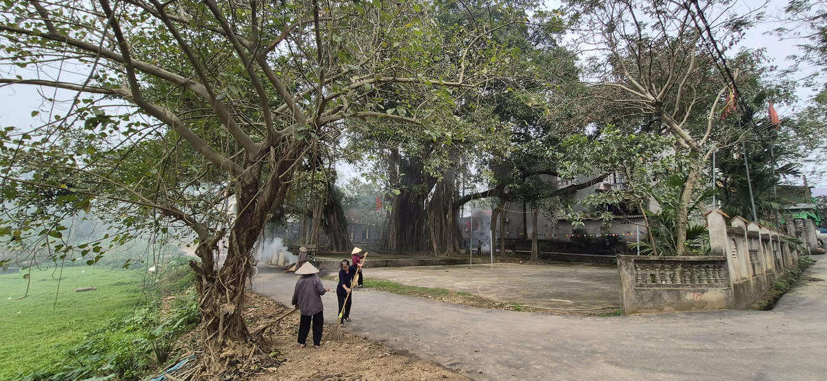 Báu vật linh thiêng của làng luôn được người dân thường xuyên chăm sóc. Ảnh: Xuân Trường.