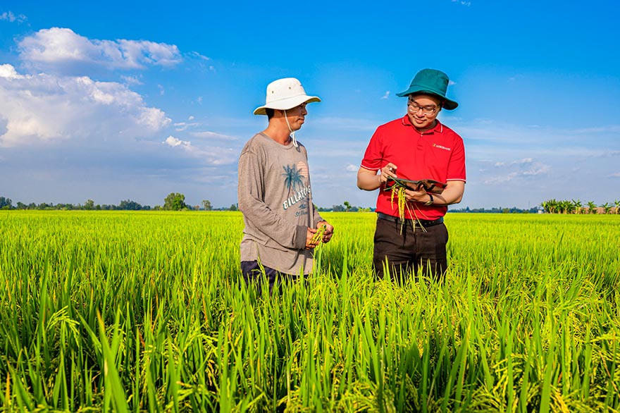 Agribank là ngân hàng chủ lực cung ứng vốn cho Đề án “Phát triển 1 triệu héc-ta lúa chuyên canh chất lượng cao phát thải thấp

