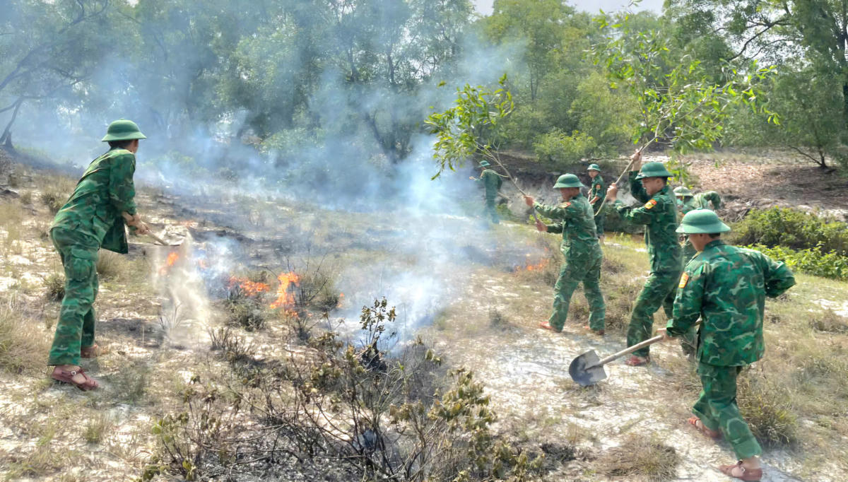 Quảng Trị: Kịp thời dập tắt một vụ cháy rừng tràm