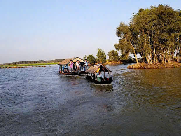 Một góc Tràm Chim. Ảnh: CTV&nbsp;