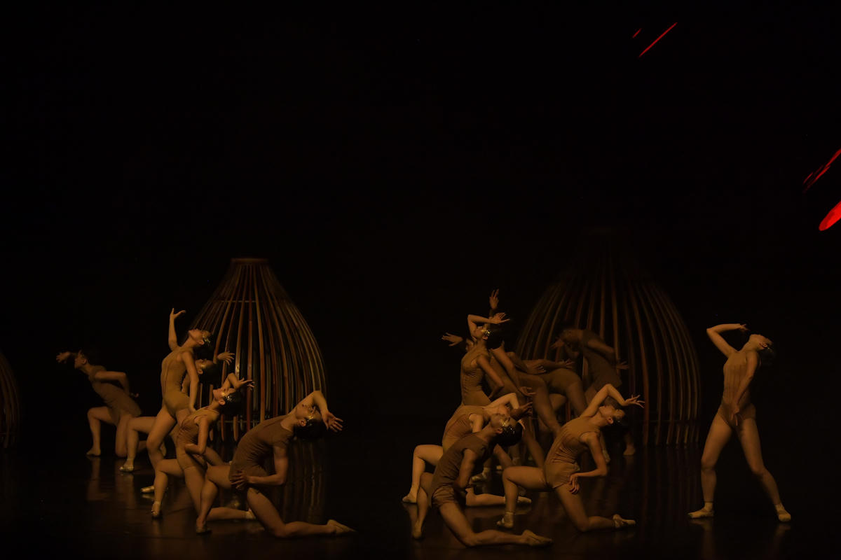 Trong “Dó”, cơ thể có xu hướng kéo gần về phía mặt đất, khác với ballet cổ điển châu Âu hướng tới những đường nét vươn cao, thoát khỏi trọng lực.

. 