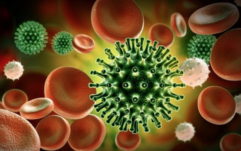 Ảnh minh họa. (Nguồn: who.int).