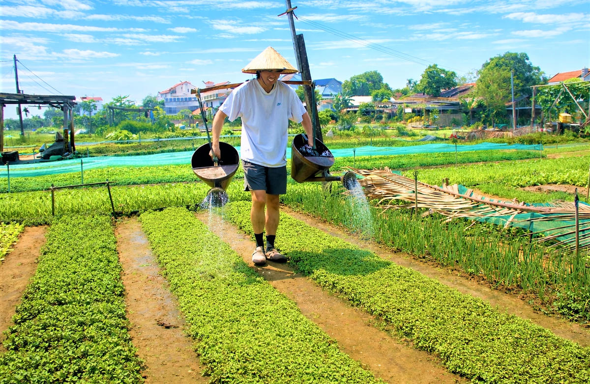 Du khách nước ngoài vui vẻ trải nghiệm làm nông dân ở làng rau Trà Quế. Ảnh: Tấn Thành.