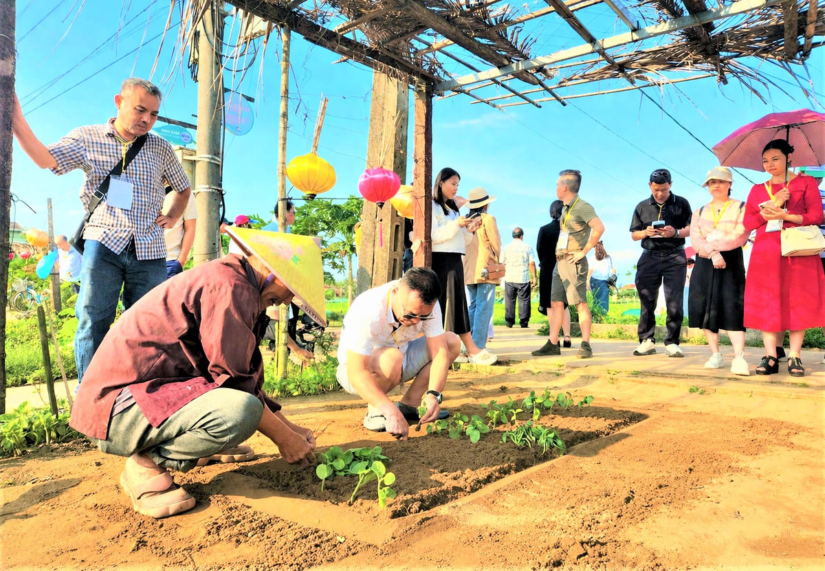 Những du khách trải nghiệm trồng rau. Ảnh: Chí Đại.