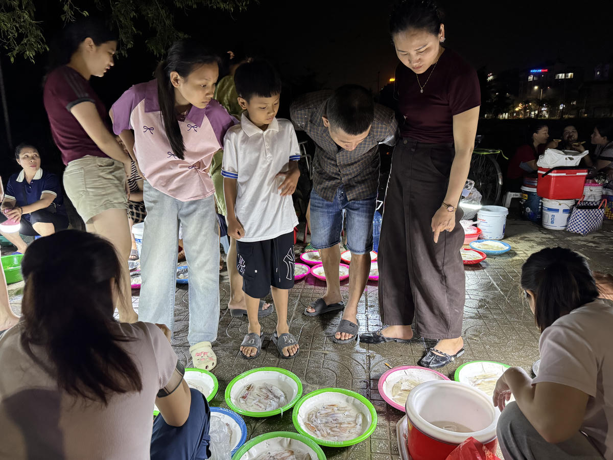 Theo ông Nguyễn Thế Sơn, Phó trưởng Phòng Văn Hóa - Xã Hội, UBND phường Cửa Lò, chợ mực nháy bên cạnh tăng  nguồn thu nhập cho ngư dân còn góp phần tạo cơ hội cho du khách thưởng thức đặc sản địa phương và làm phong phú thêm trải nghiệm về đêm cho du khách. Chính quyền phường Cửa Lò đang có kế hoạch sẽ quy hoạch một chợ đêm bán mực nháy và các hải sản khác nhằm đảm bảo về giá, chất lượng, vệ sinh môi trường cũng như mỹ quan đô thị.

"Ngoài ra, sắp tới phường có kế hoạch phối hợp với Công ty Cổ phần Du lịch Vietravel và Hiệp hội Ẩm thực Việt nam tổ chức Hội chợ ẩm thực Mực nháy để tôn vinh đặc sản miền biển và góp phần quảng bá văn hoá ẩn thực du lịch Cửa Lò, thu hút khách du lịch", ông Sơn cho biết.