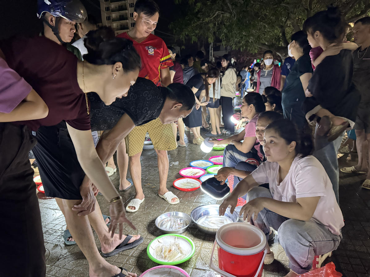 Mực được bày ra chậu con cạn lòng, mỗi người bán cầm đèn tích điện rọi "quầy hàng" của mình. Dưới ánh đèn, những con mực tươi ngon, lấp lánh như mời gọi khách tới mua. Ảnh: Quốc Thanh