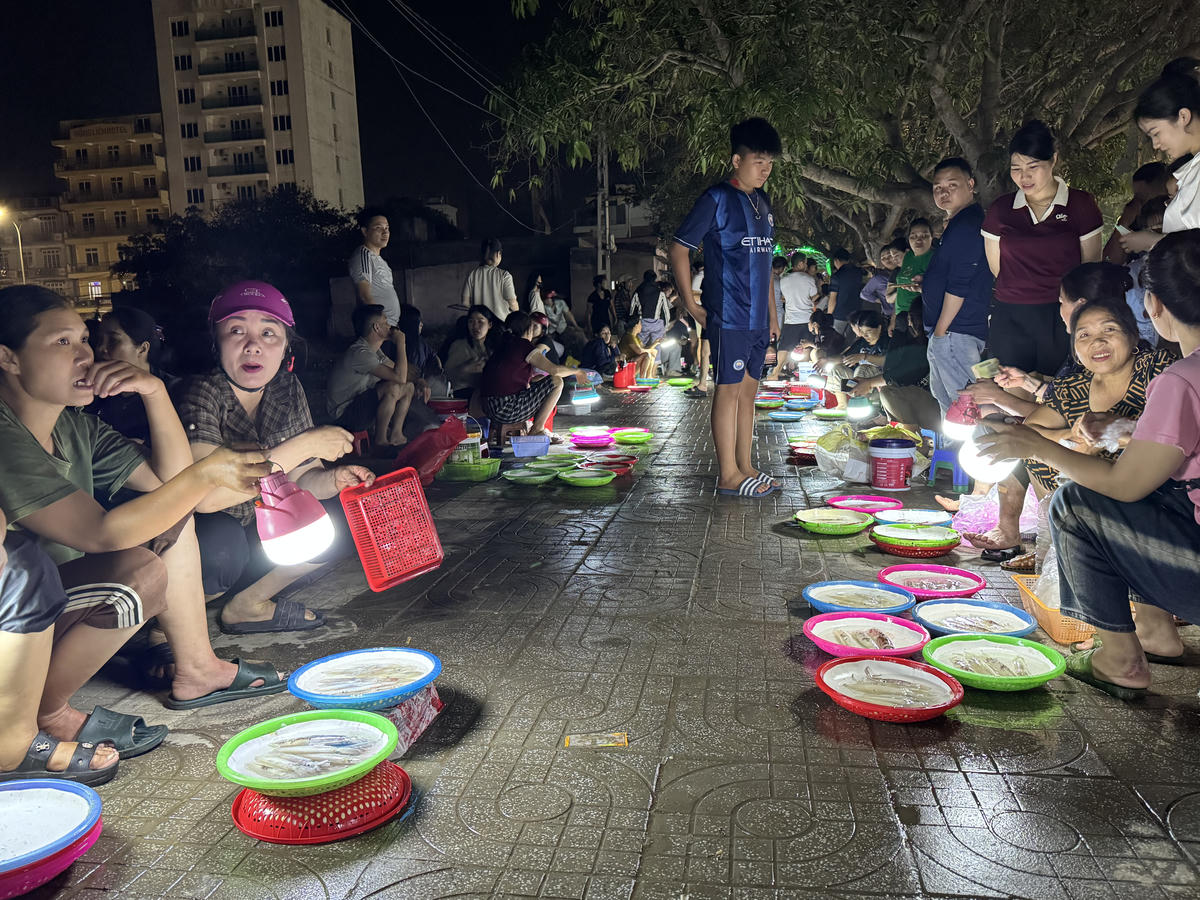 Mực đánh bắt bằng câu hoặc xúc nên số lượng được không nhiều, chỉ 2 - 3kg/chuyến. Ảnh: Quốc Thanh