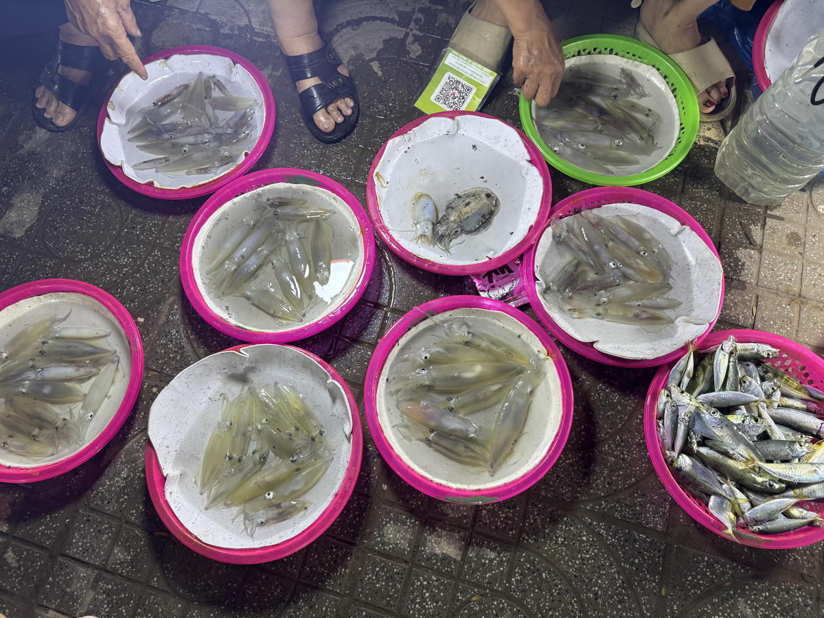 Một điểm đặc biệt, mực ở đây không bán theo cân hay con mà theo mớ. Tùy kích cỡ, trọng lượng của mỗi con mực, một mớ thường 6 - 9 con, được người bán báo giá 200.000 - 300.000 đồng.

Tuy nhiên, giao dịch được thực hiện trên khả năng trả giá của khách hàng. Ảnh: Quốc Thanh