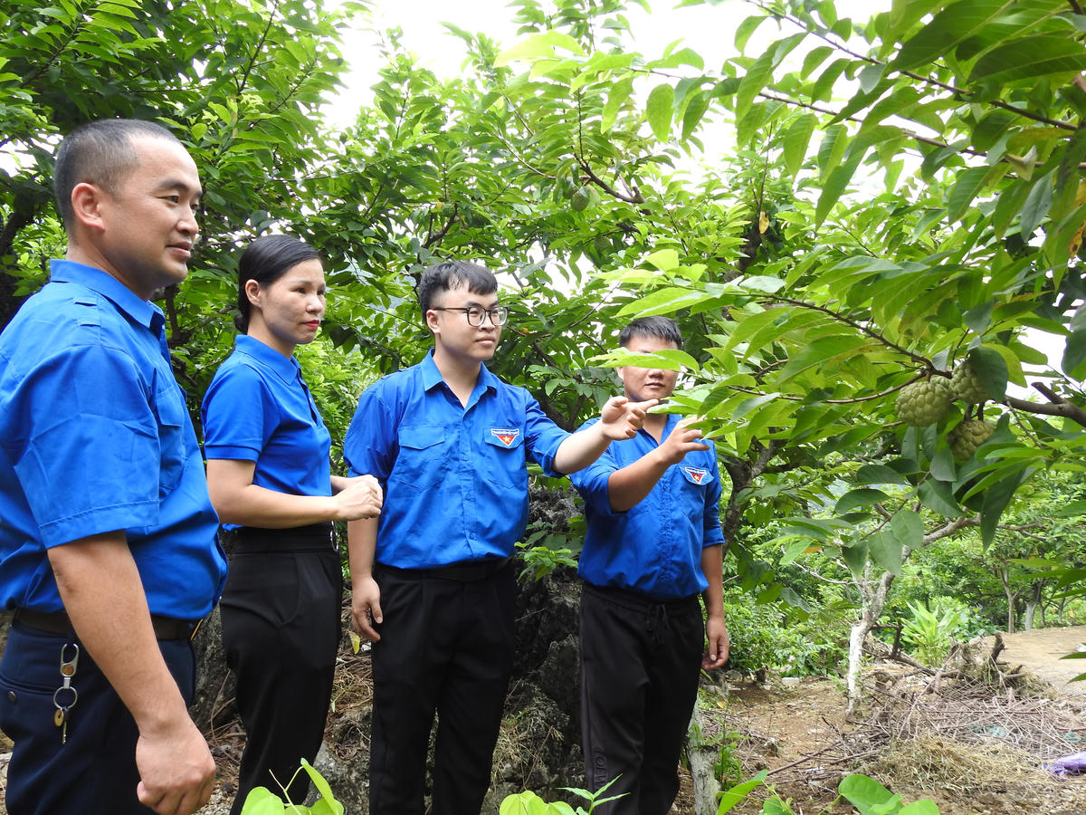  Các bài viết không chỉ góp phần cung cấp luận cứ, dữ liệu và góc nhìn đa chiều về thanh niên khởi nghiệp, lập nghiệp, mà còn thể hiện rõ tinh thần gắn hoạt động Đoàn