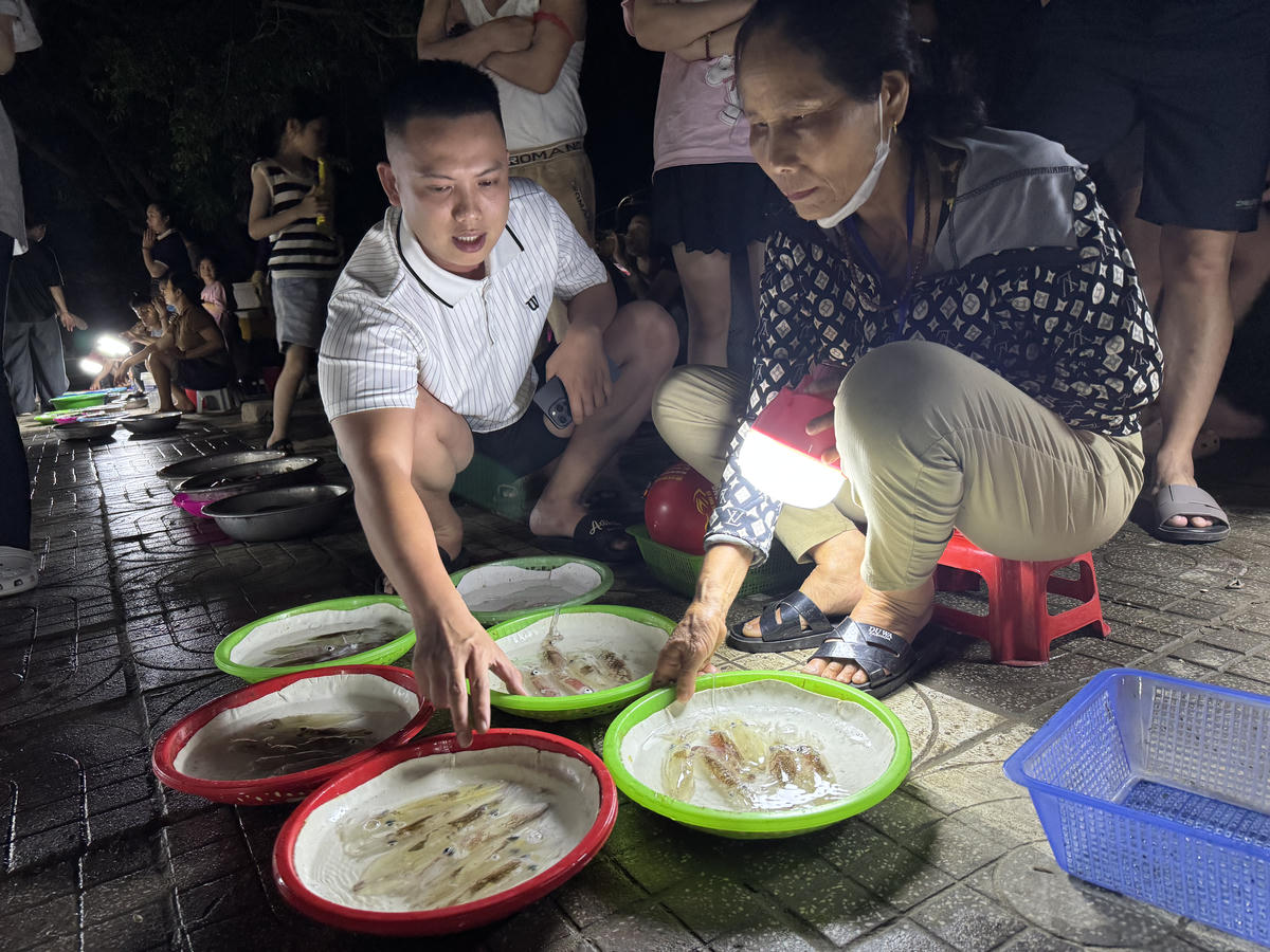 Anh Phạm Trung Hiếu, 30 tuổi, phường Vinh Lộc, Nghệ An đang thương lượng để mua mớ mực nháy. Mấy hôm nay nghe tin ngư dân phường Cửa Lò được mực nháy nhiều nên anh Hiếu tranh thủ đi mua đặc sản đầu mùa. "Mực này, tôi sẽ hấp luôn cho tươi, còn một ít dùng làm gỏi sống để thưởng thức", anh Hiếu nói. Ảnh: Quốc Thanh