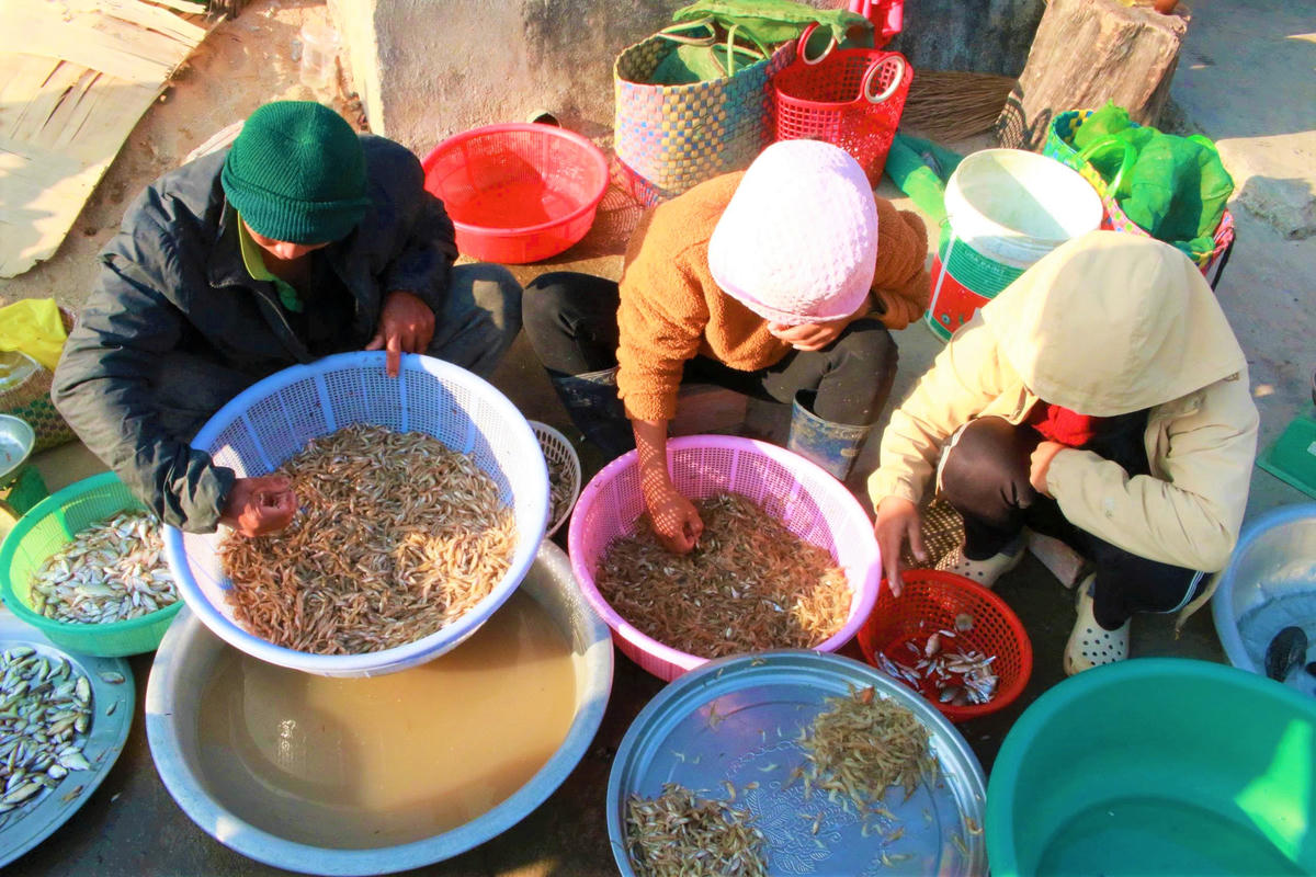 Người dân bán tôm, cá đánh bắt được dưới sông Đăk Bla. Ảnh: TT.