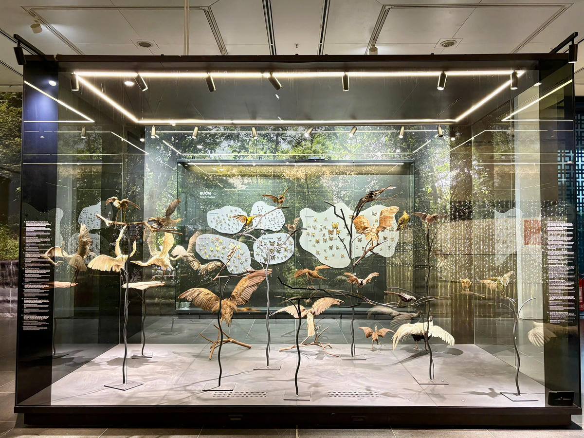 Khu trưng bày tầng 2 của Bảo tàng Hà Nội được chia thành hai phần: chủ đề “Đặc điểm tài nguyên và thiên nhiên Hà Nội” với nhiều mẫu động, thực vật phong phú, nổi bật là bộ xương rùa Hồ Gươm. Bên cạnh đó, chủ đề “Hành trình đến Thăng Long” giới thiệu các hiện vật quý, tái hiện lịch sử từ những cư dân đầu tiên đến buổi đầu dựng nước, giữ nước.
. 