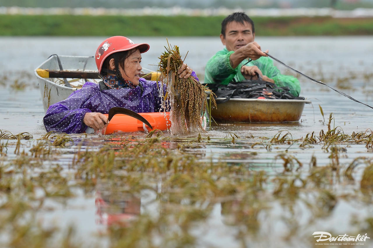 bo_doi_gat_lua-le-khanh7.jpg