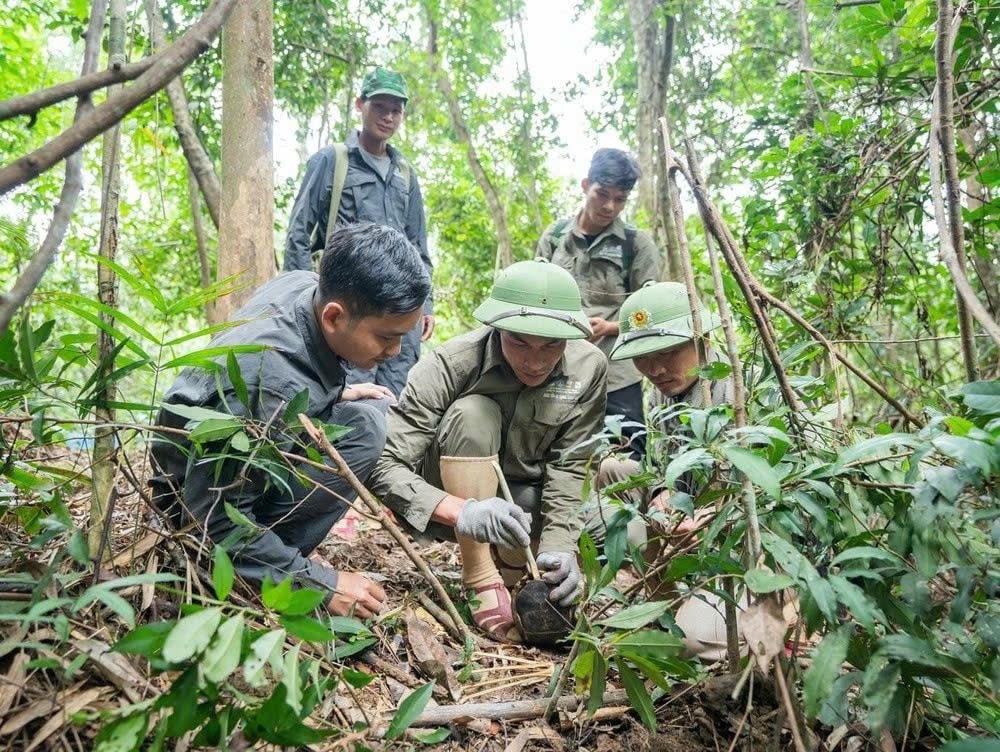 Các chiến binh trong biệt đội đang tháo gỡ một cái bẫy của thợ săn.