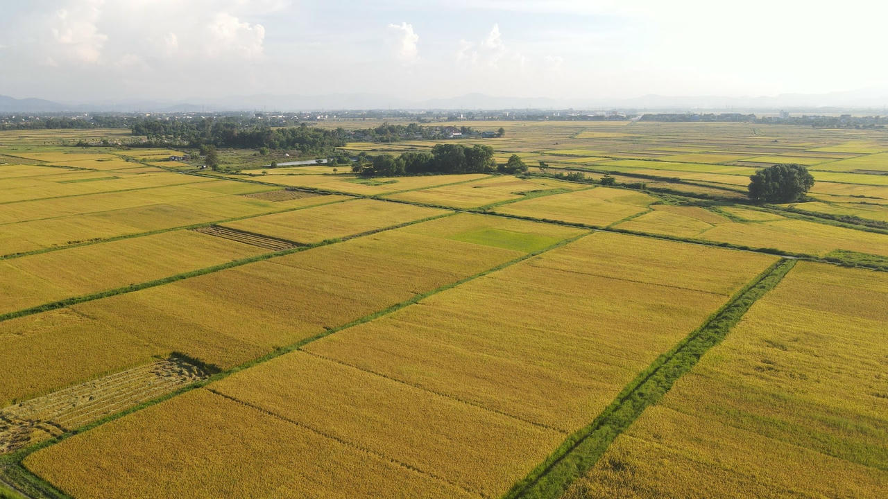 dji_0915.jpg