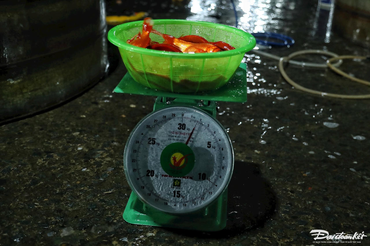 W_ca_chep_ong_cong_ong_tao-le-khanh11.jpg
