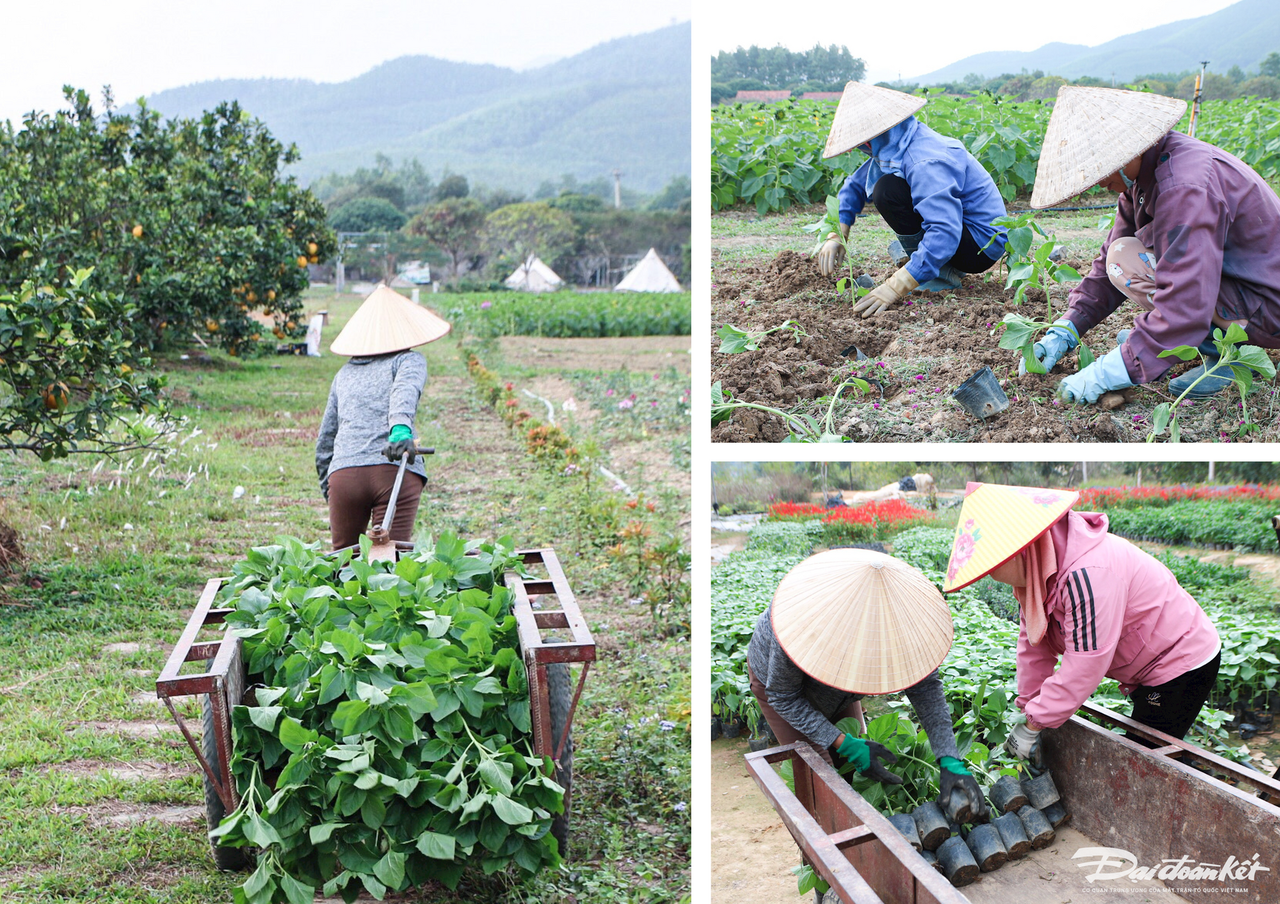 W_anh-ghep-ba-buc-anh-gia-dinh-tranh-in-4-.png