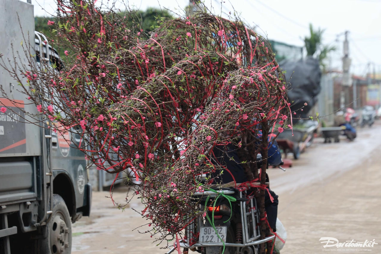 W_dao_nhat_tan-le-khanh7.jpg