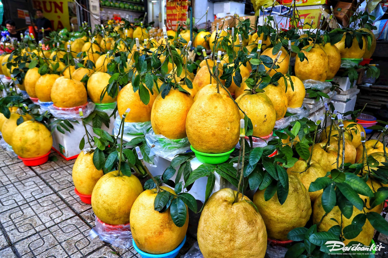 W_bong_ky_da-le-khanh4.jpg