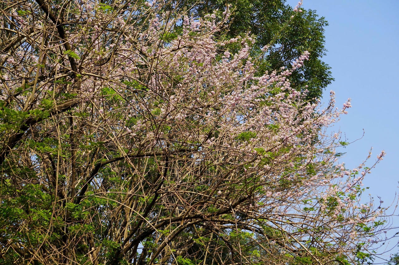 z5263784435883_91a84c6cd4df0a57ae5e038a94d4f1a2.jpg