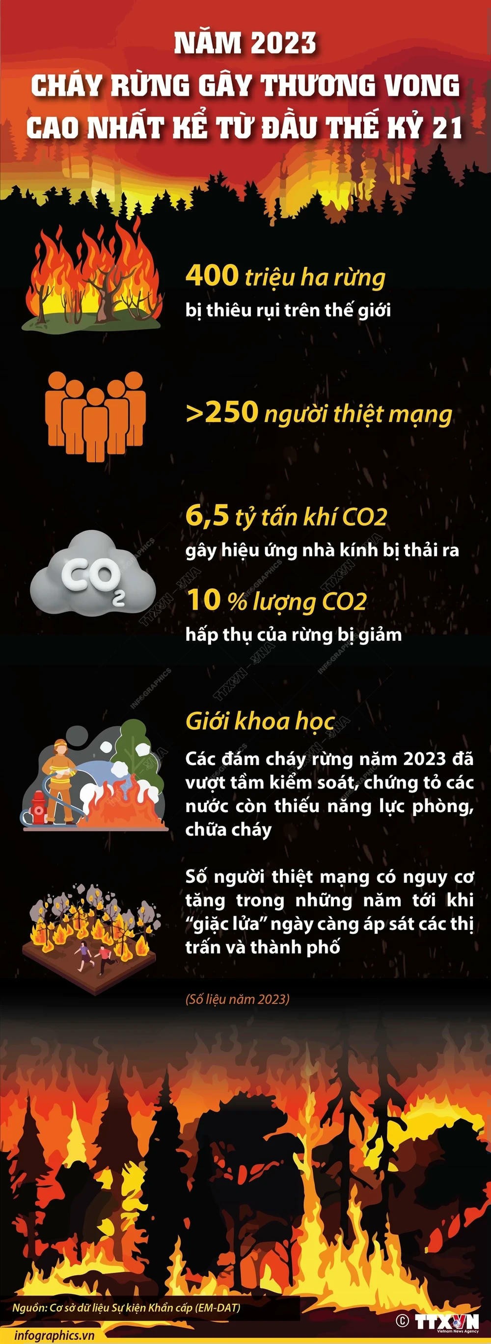 2023-12-29-tg-chay-rung-23-h84-4789.jpg
