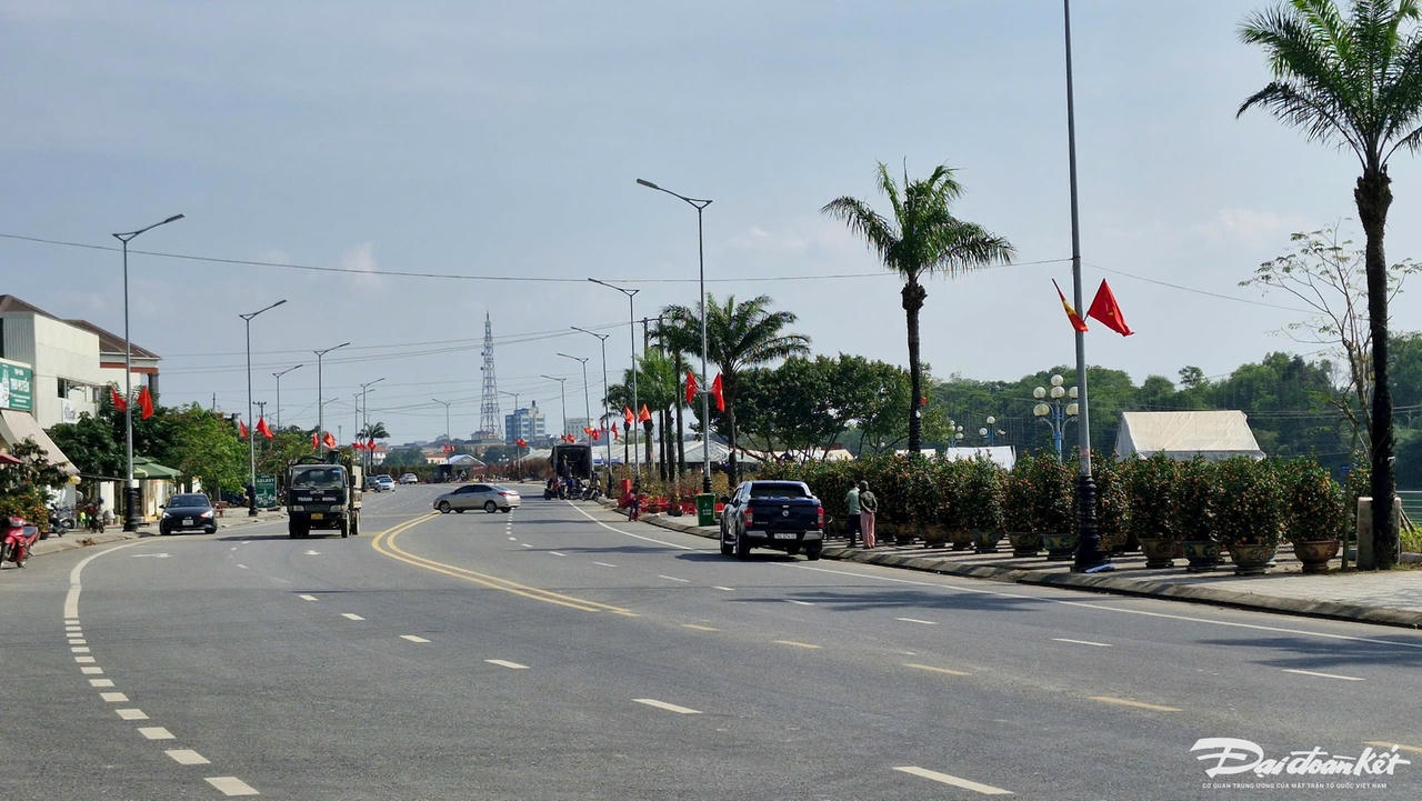 hoa-tet-9.jpg