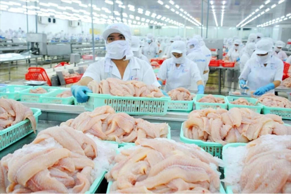 ảnh xk nông lâm sản