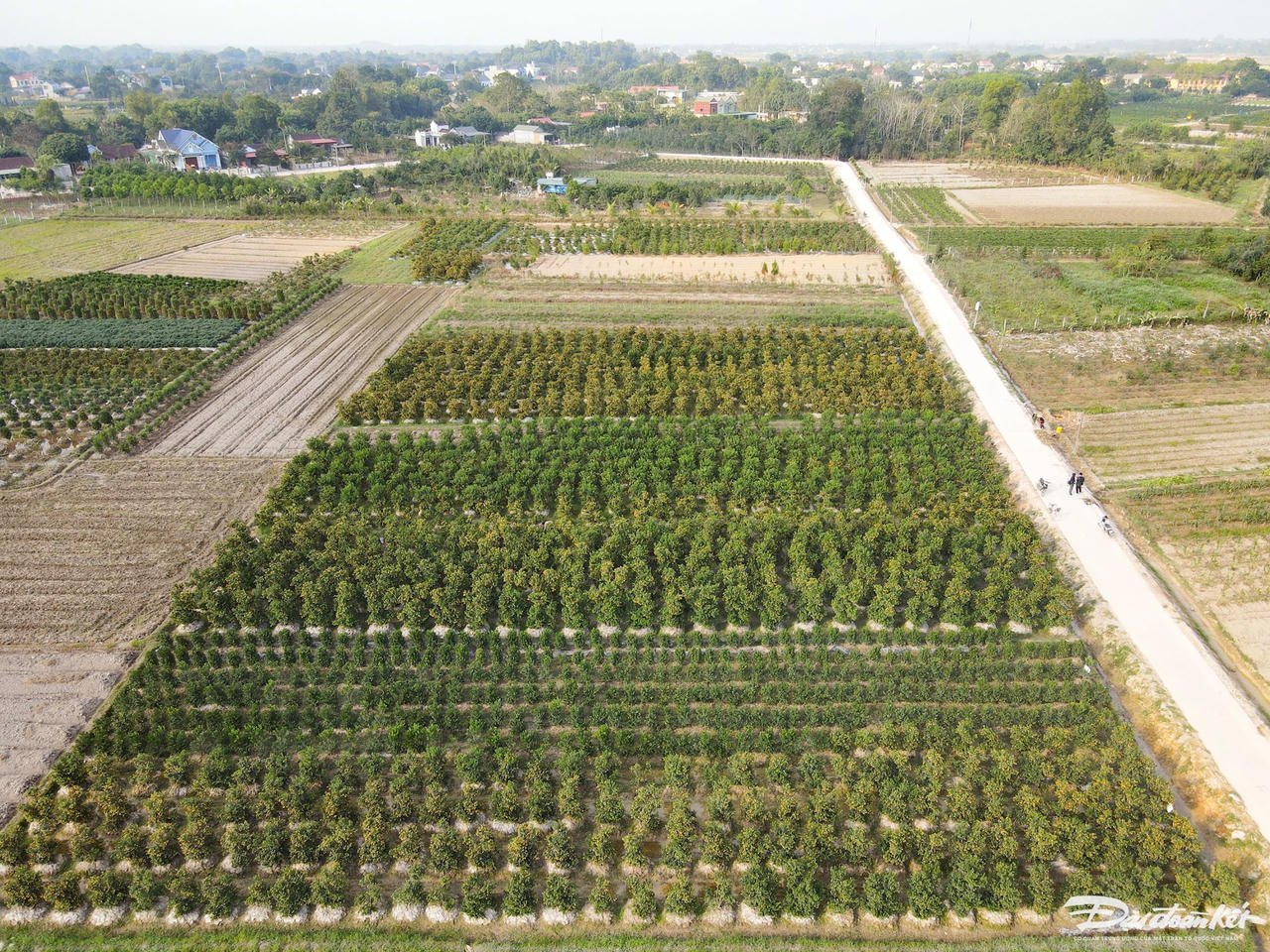 W_dji_fly_20240105_151220_404_1704442375780_photo-1-(1).jpg