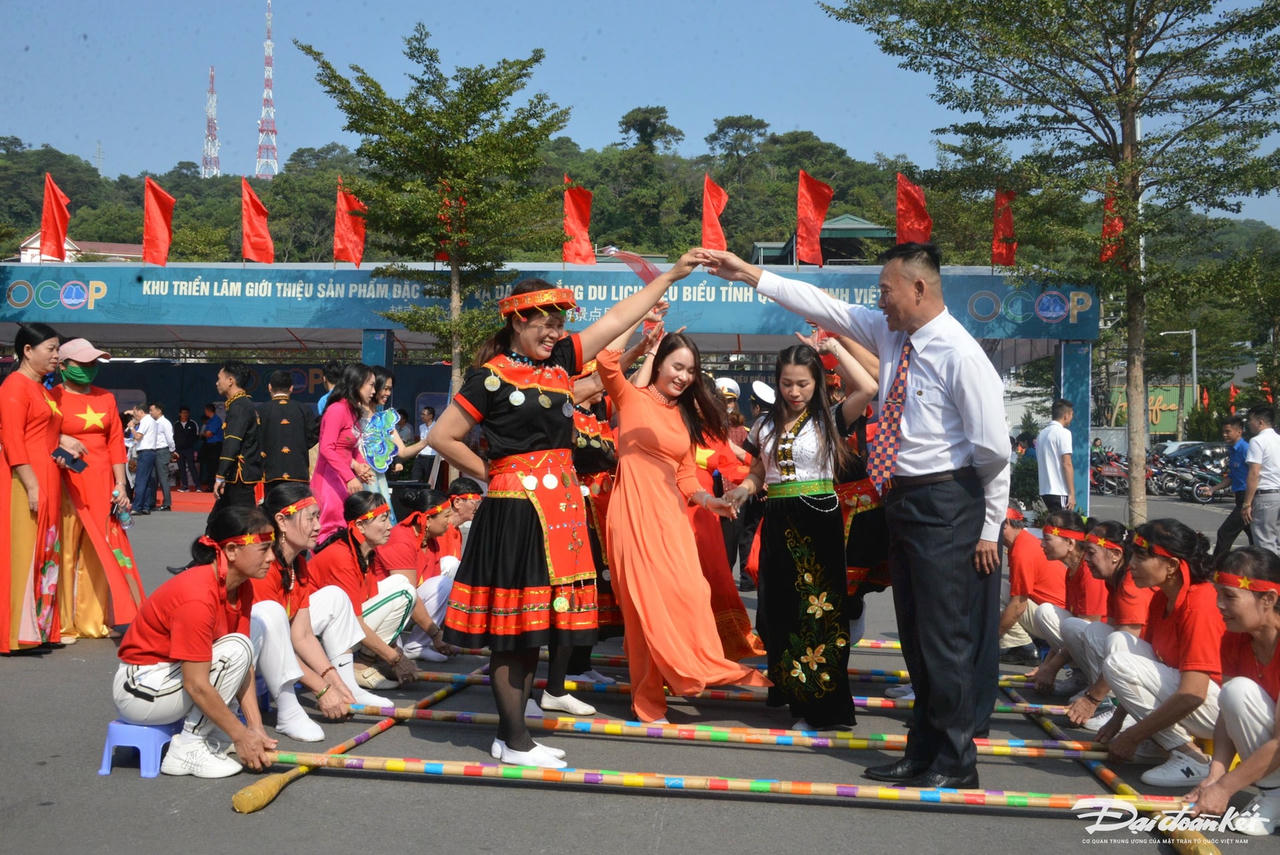 W_dsc_7784.jpg