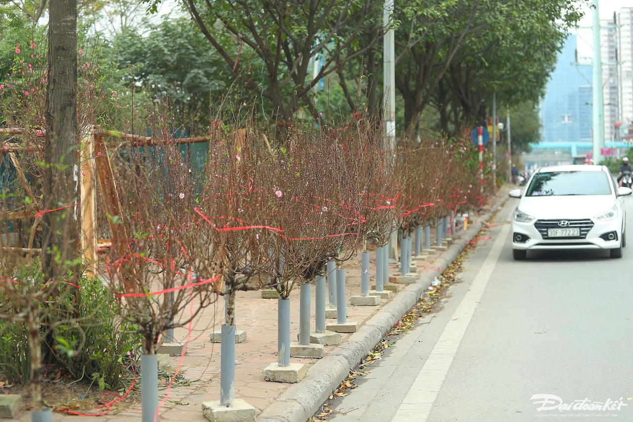 W_dao_quat_xa_lo-le-khanh6.jpg