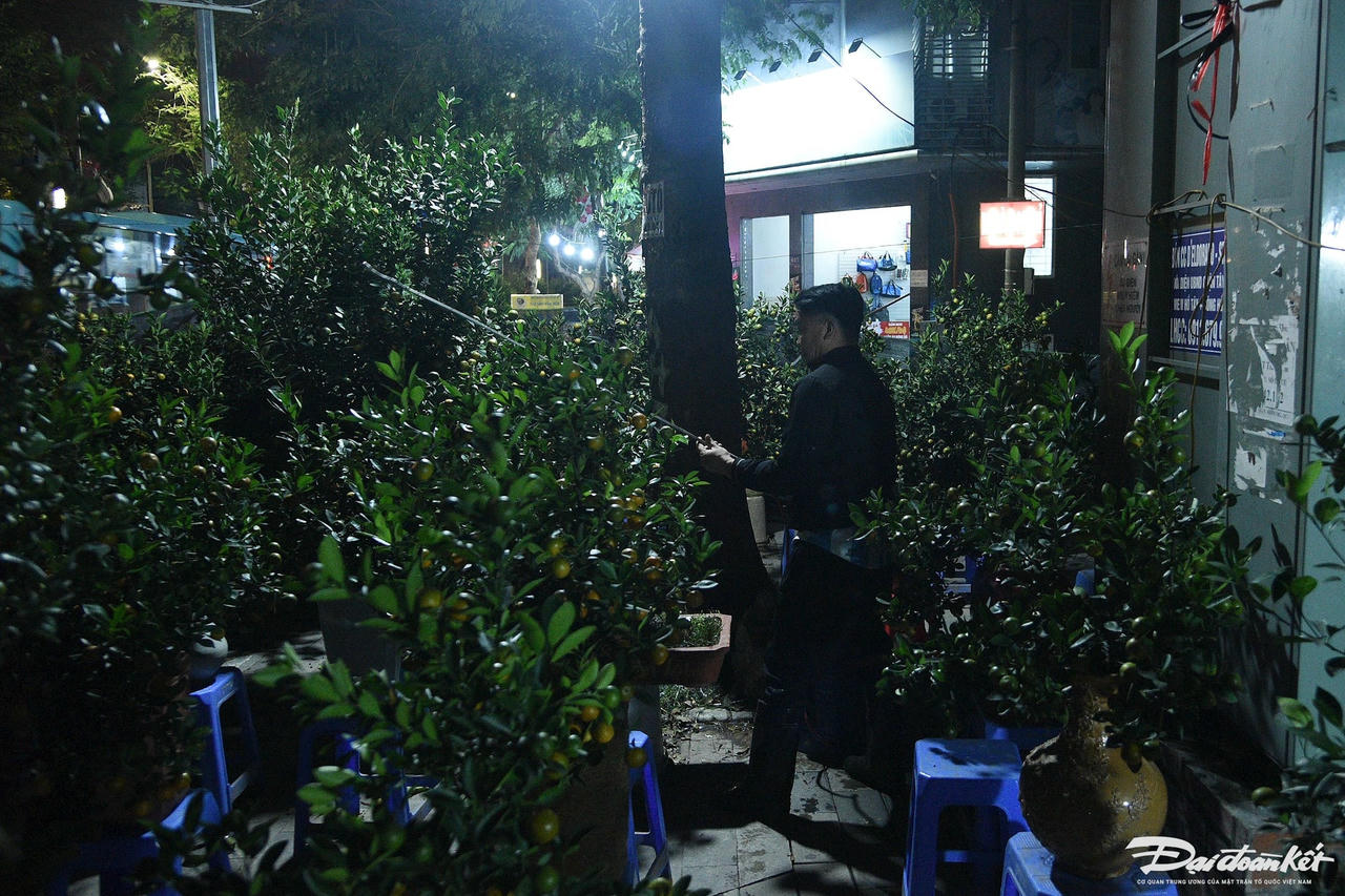 W_mac_man_trong_dao_quat-le-khanh11.jpg