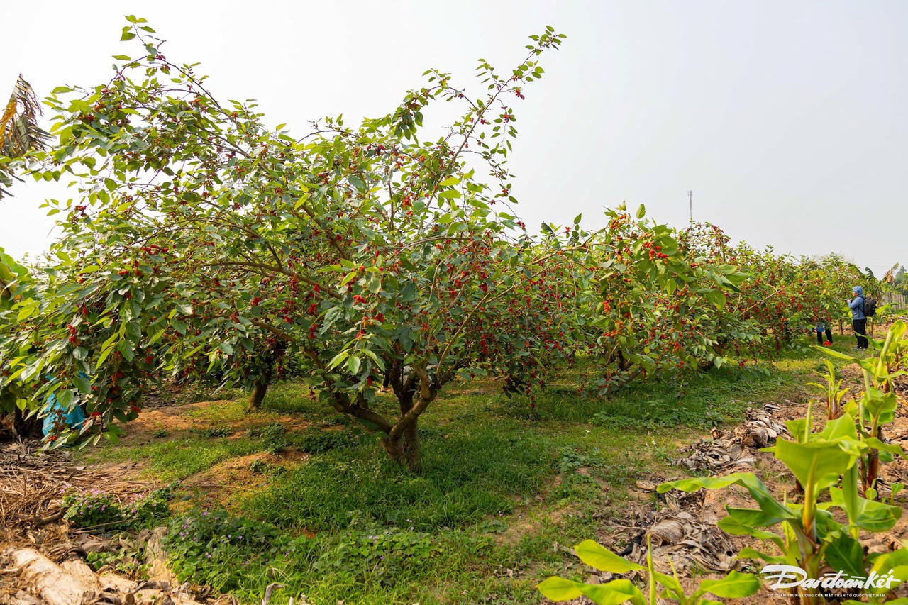 dau_tam-le-khanh32.jpg